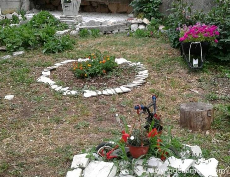 viber image04
